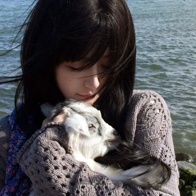 内战圣伯纳犬